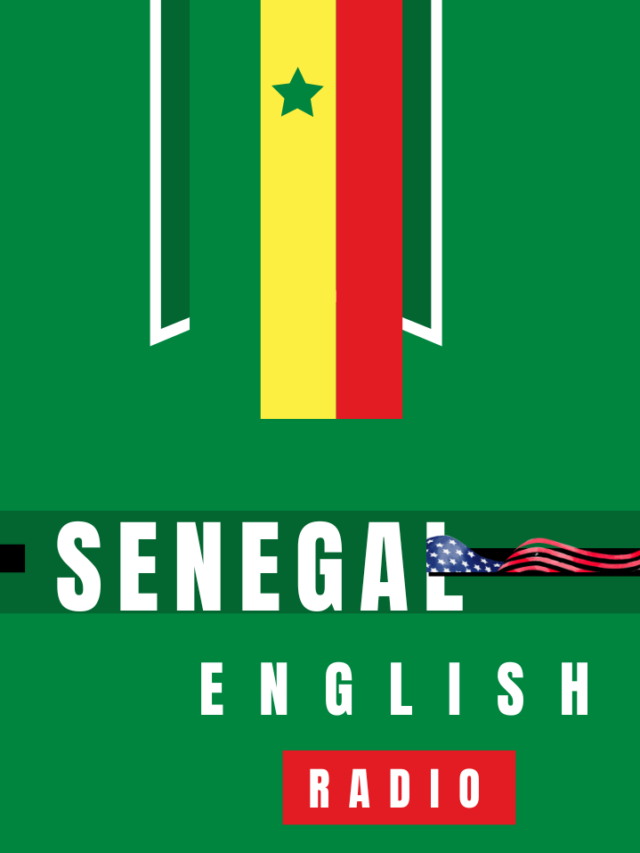 Senegal English Media Group (SENEM Group)